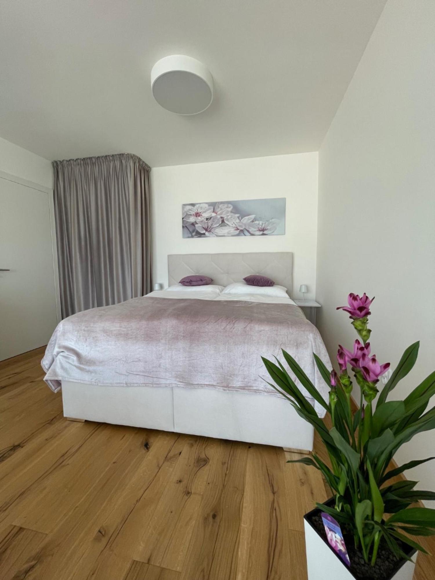 H52 Apartments Brünn  Kültér fotó